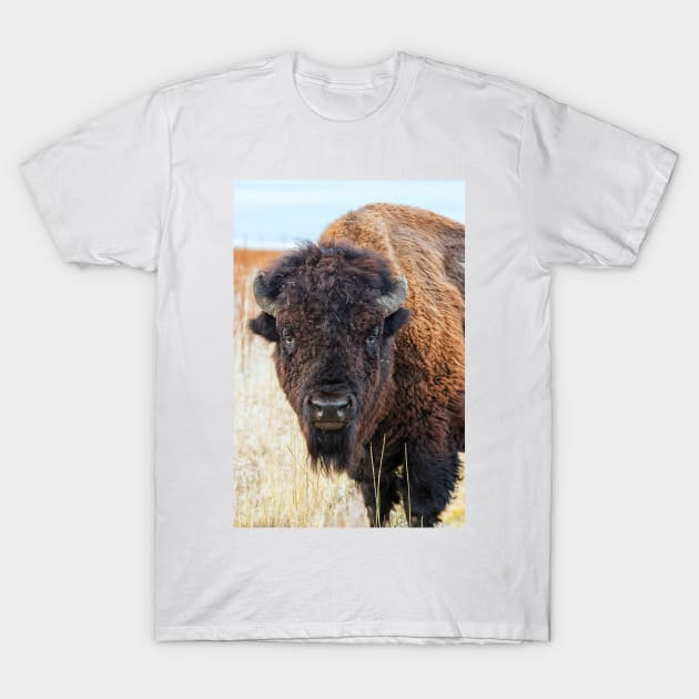 Bison T-Shirt by StacyWhite